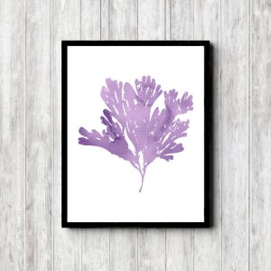 Reef Plant Purple Watercolor Printable