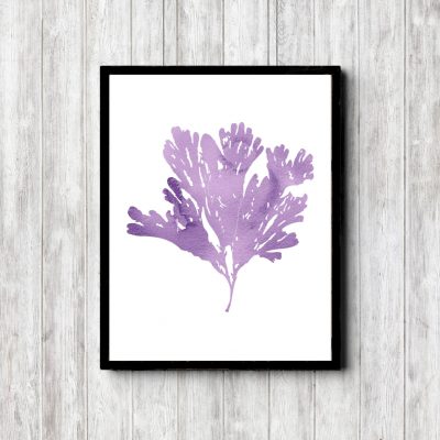 Reef Plant Purple Watercolor Printable