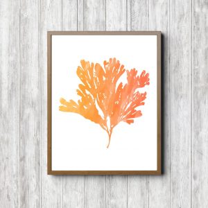 Orange Watercolor Ocean Plant Printable