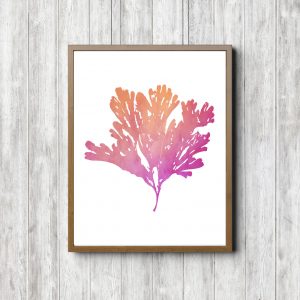 Orange & Pink Seaweed Printable