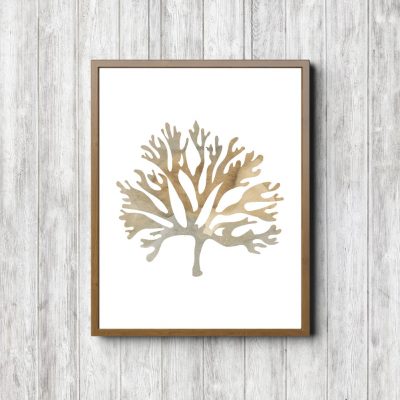 Marine Plant Beige Watercolor Printable