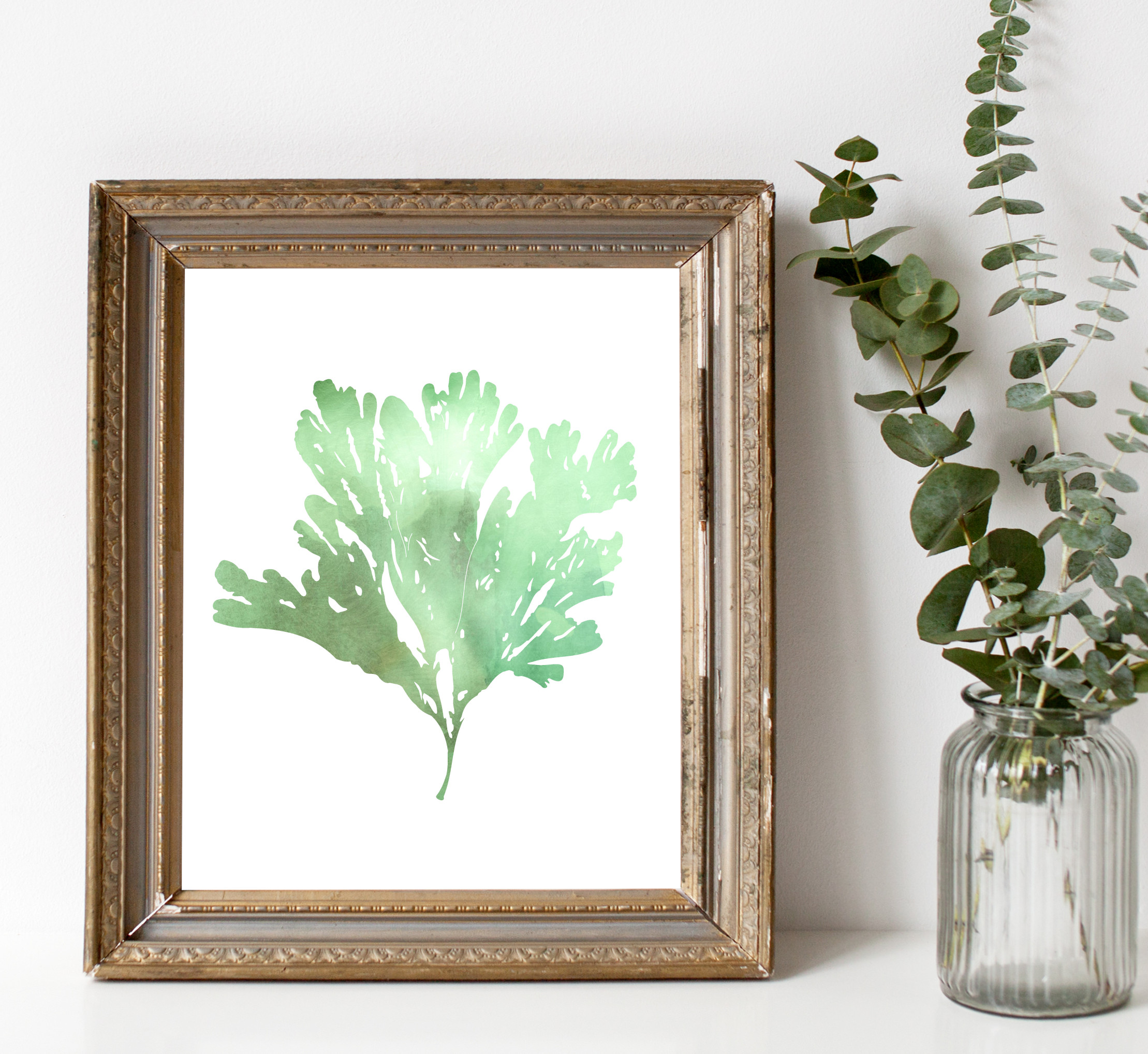 Seaweed2Green