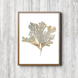 Ocean Plant Beige Watercolor Printable