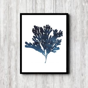 Navy Watercolor Marine Coral Printable