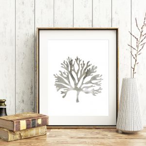 Gray Watercolor Marine Coral Printable