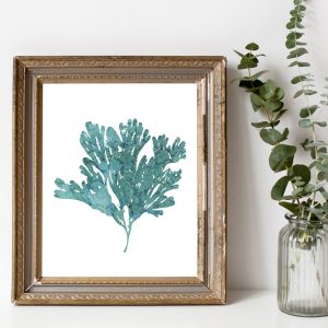 Ocean Coral Teal Watercolor Printable