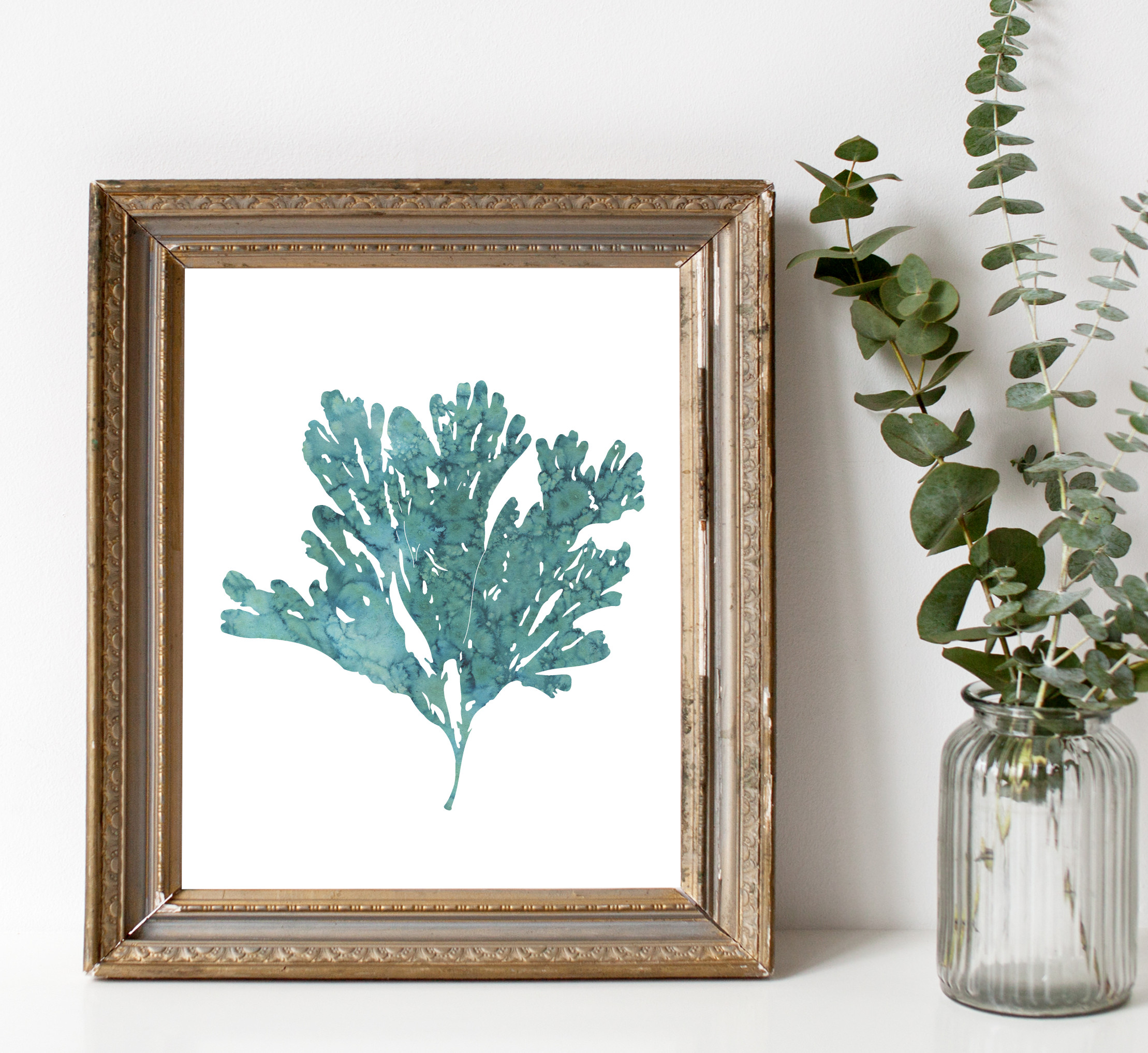 SeaweedTeal1