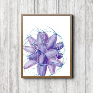 Purple Succulent Plant Print