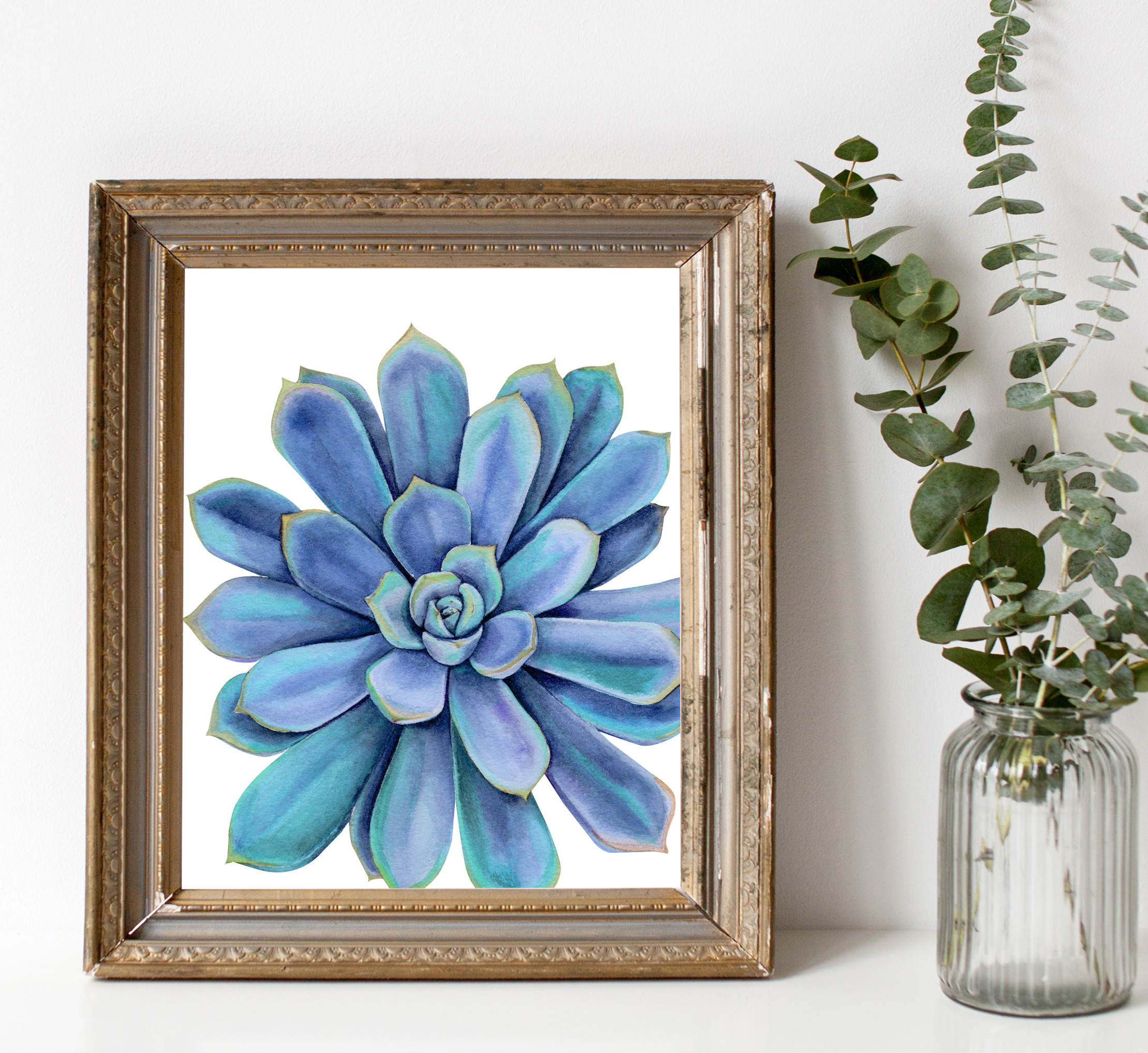 SucculentBlue1