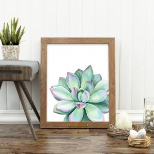 Green Succulent Plant Print