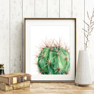Green Cactus Succulent Printable