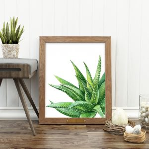 Green Succulent Office Printable Art