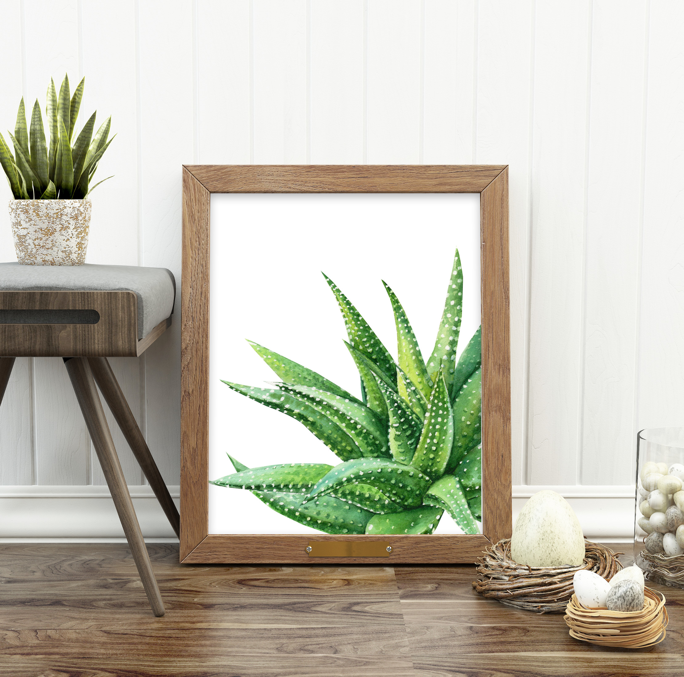 SucculentGreen8