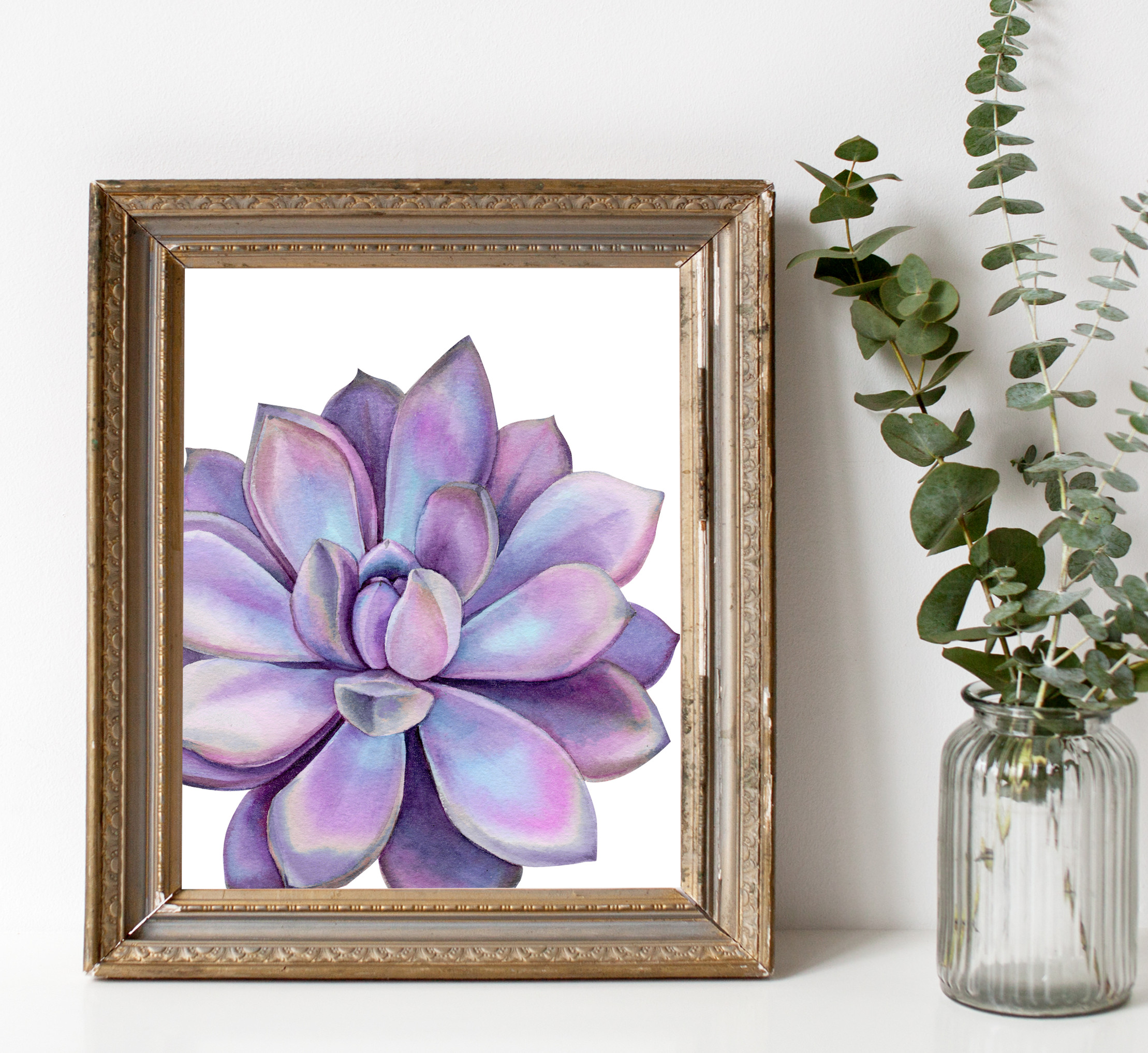 SucculentPurple1