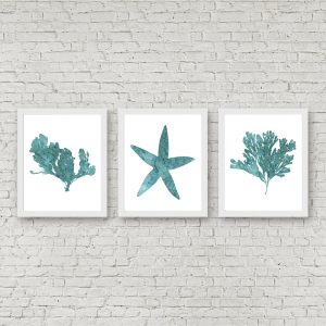 Teal Watercolor Reef Printables