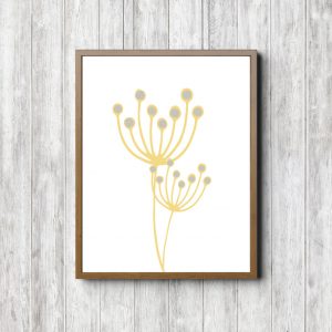 Yellow Pincushion Flower Wall Art Print