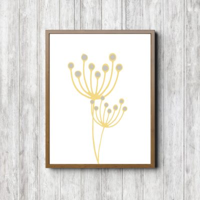 Yellow Pincushion Flower Wall Art Print